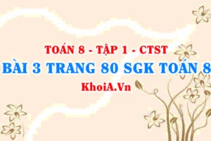 Bài 3 trang 80 SGK Toán 8 Tập 1 Chân trời sáng tạo